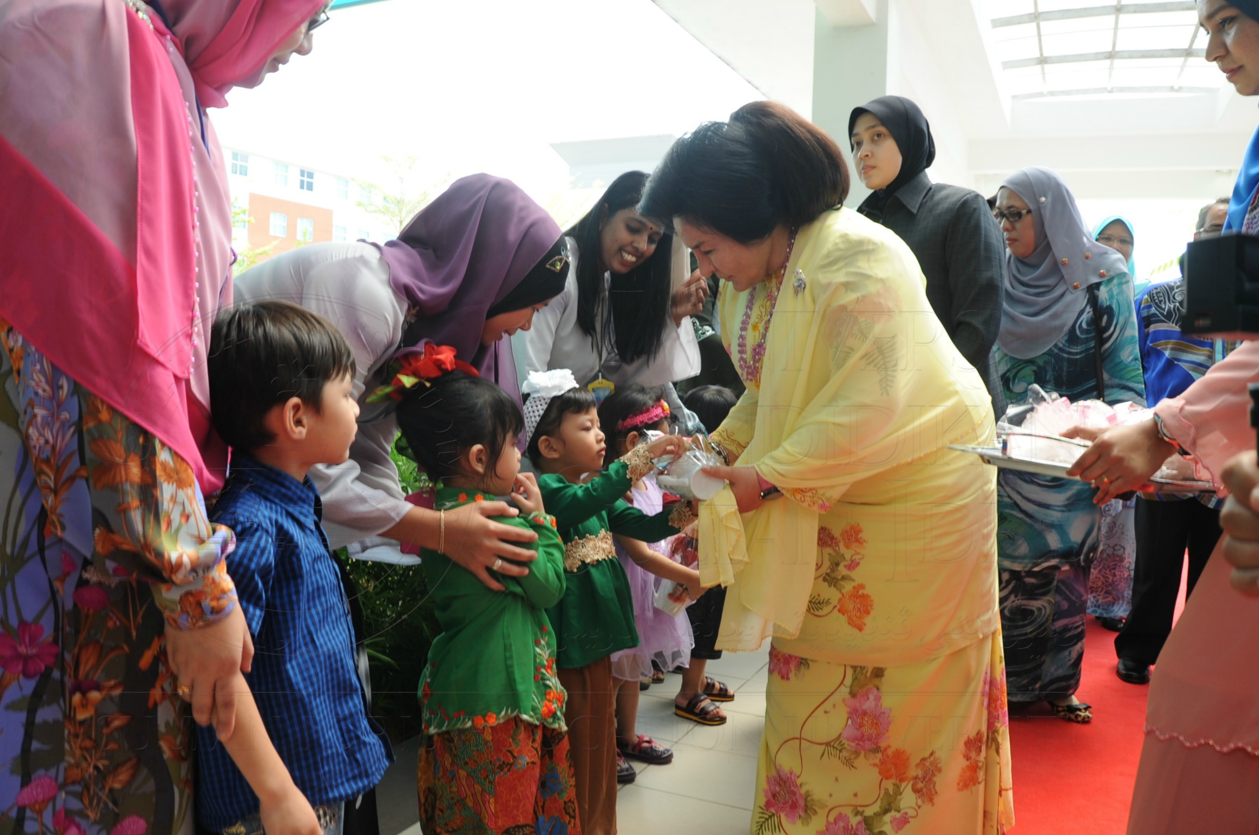 PRO16 32 NCDC HAS 3398